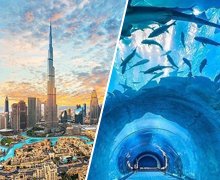 Dubai City Tour, Burj Khalifa, Dubai Mall, Dubai Aquarium and Underwater Zoo
